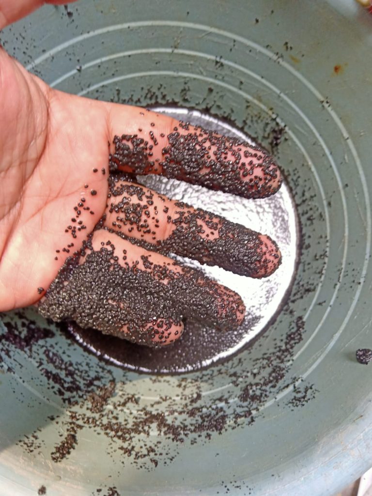 bakteri anaerobik granular 14