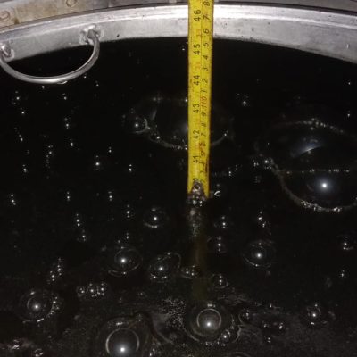 bakteri anaerobik granular 8